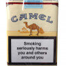 camel_nonfilter.jpg
